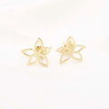 Aretes oro 18K