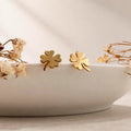 Aretes de Oro 18k