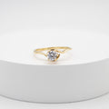 ANILLO DE COMPROMISO