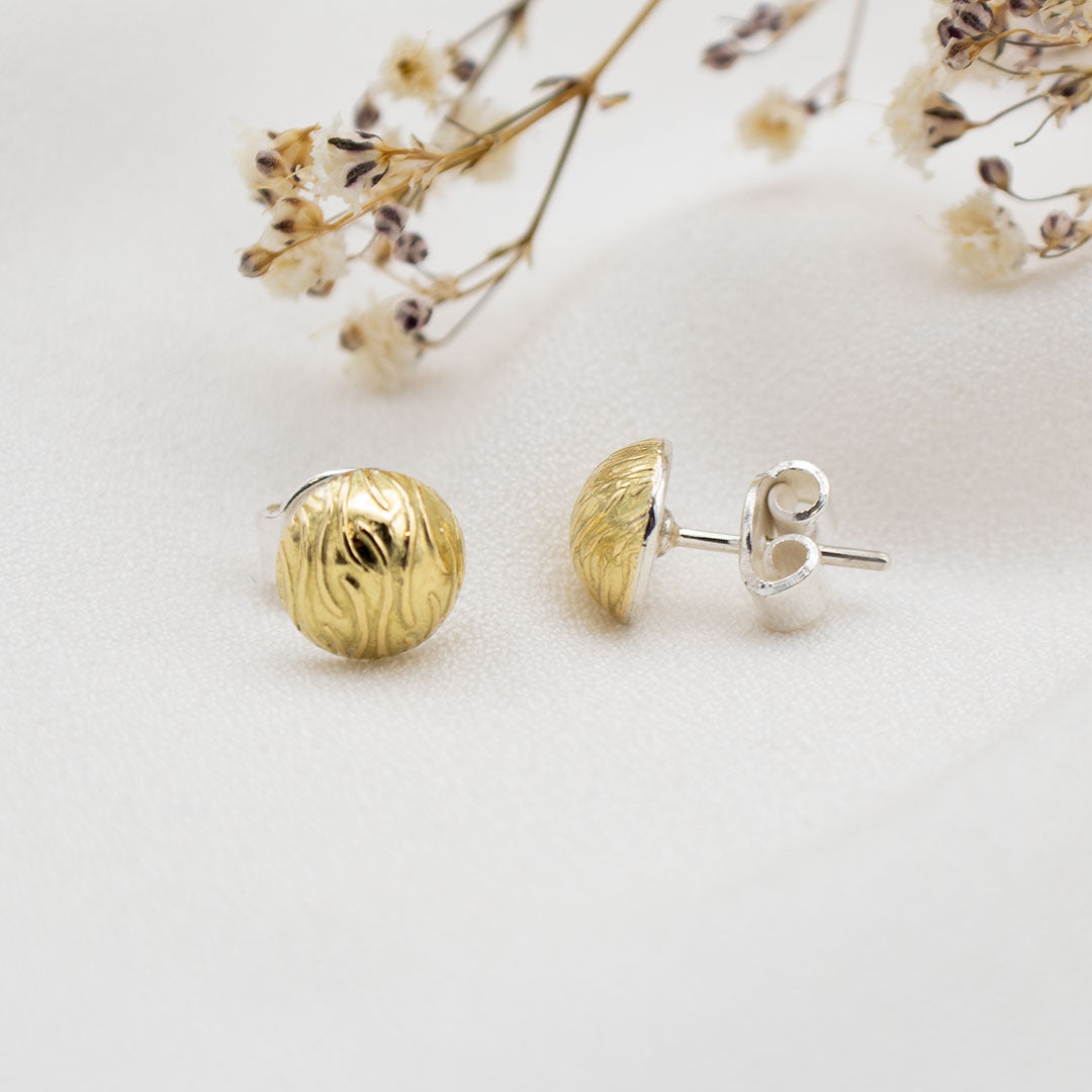 ARETES DE PLATA
