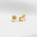 ARETES DE ACERO