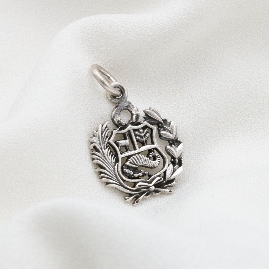 DIJE DE PLATA