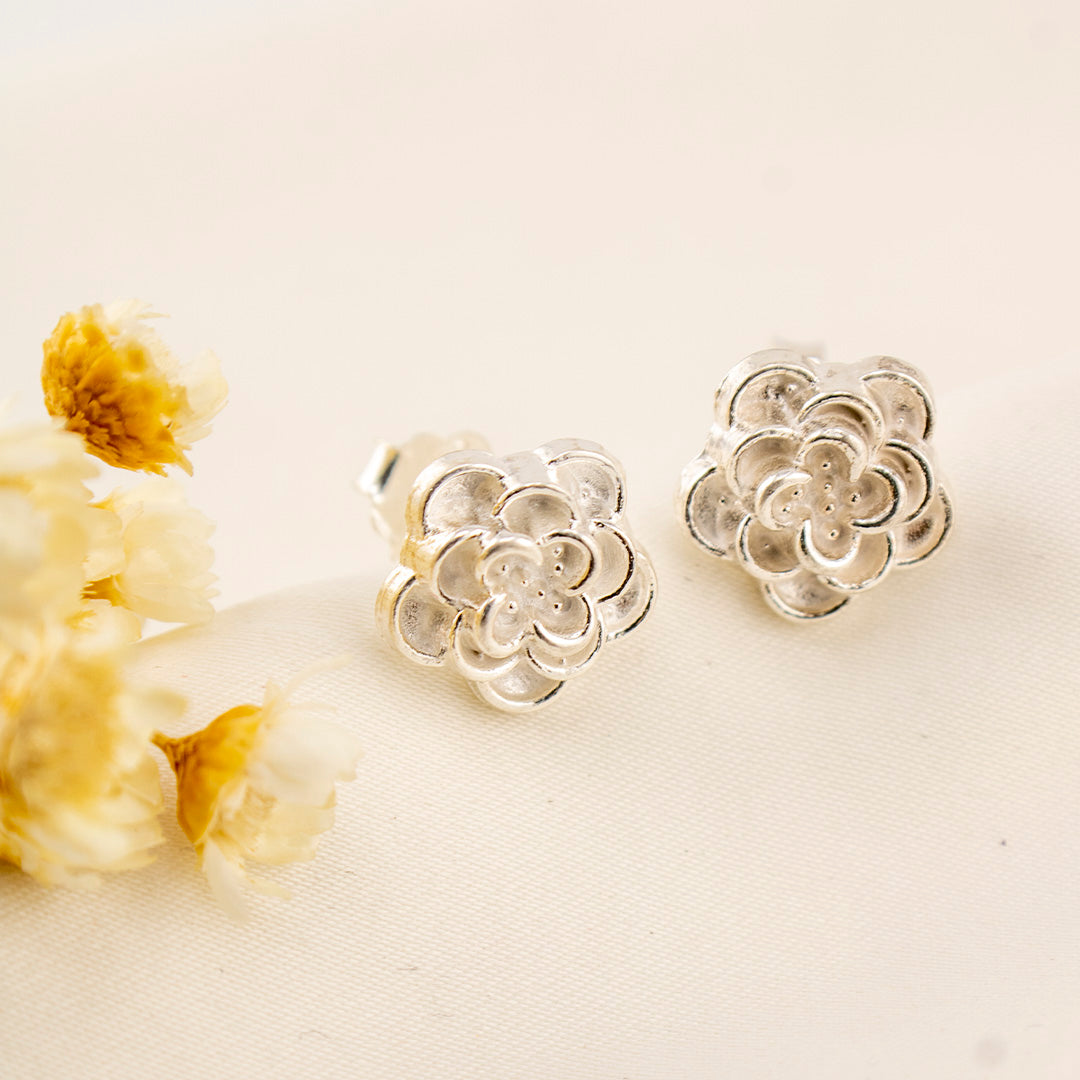 Aretes de plata