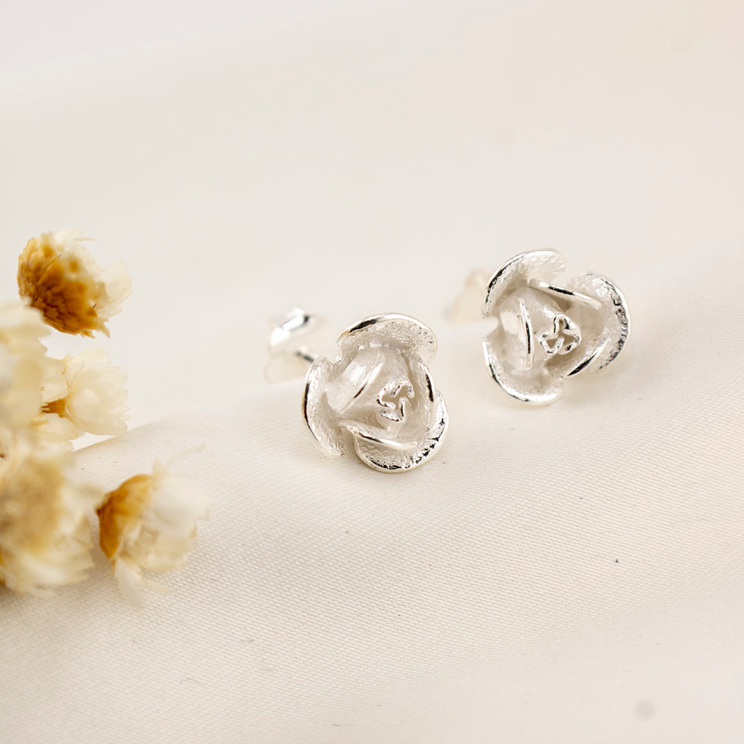 Aretes de plata