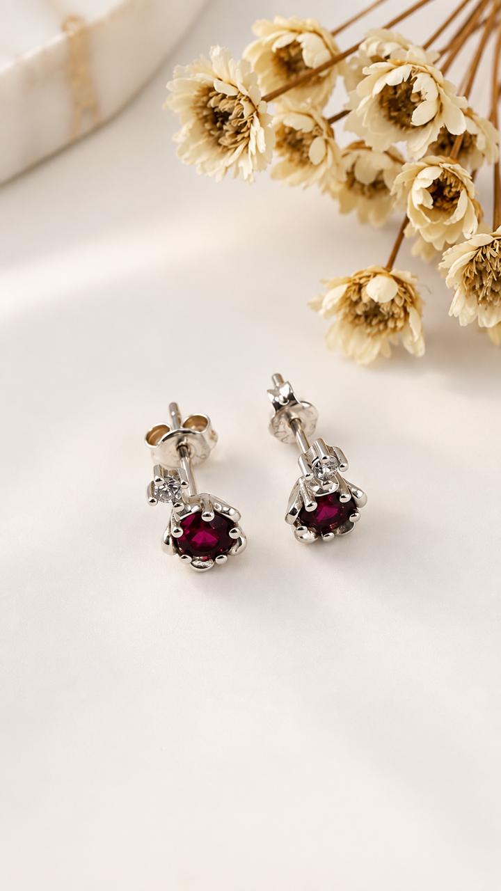 ARETES DE PLATA