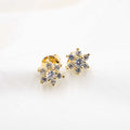 ARETES DE ORO
