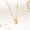 Cadena y Dije de Oro