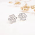 Aretes de plata