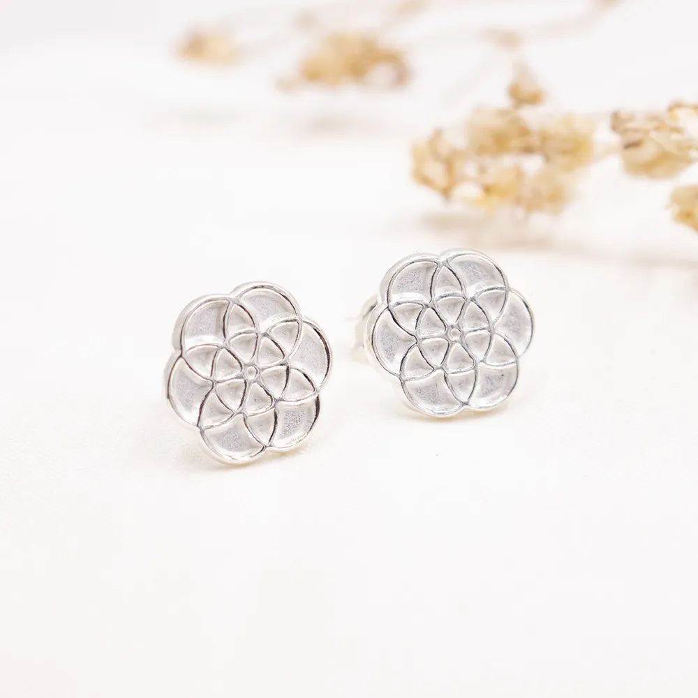Aretes de plata