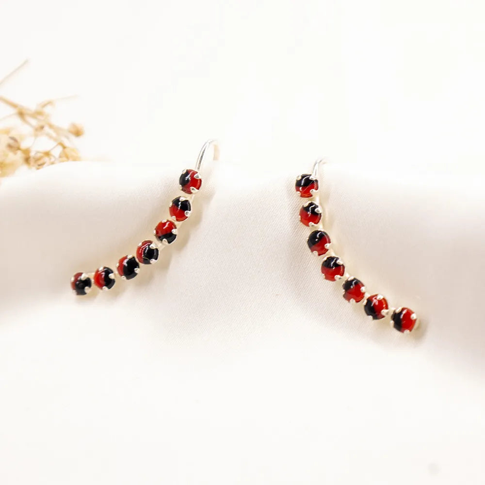 Aretes de plata
